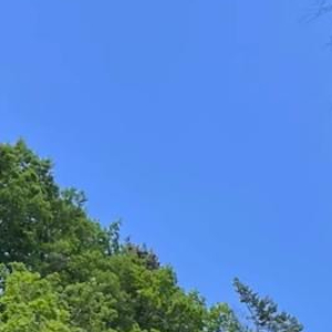 每日一善 阳光信用 所谓人生开挂，不过是厚积薄发。常言道，不经一番寒彻骨，哪有梅
