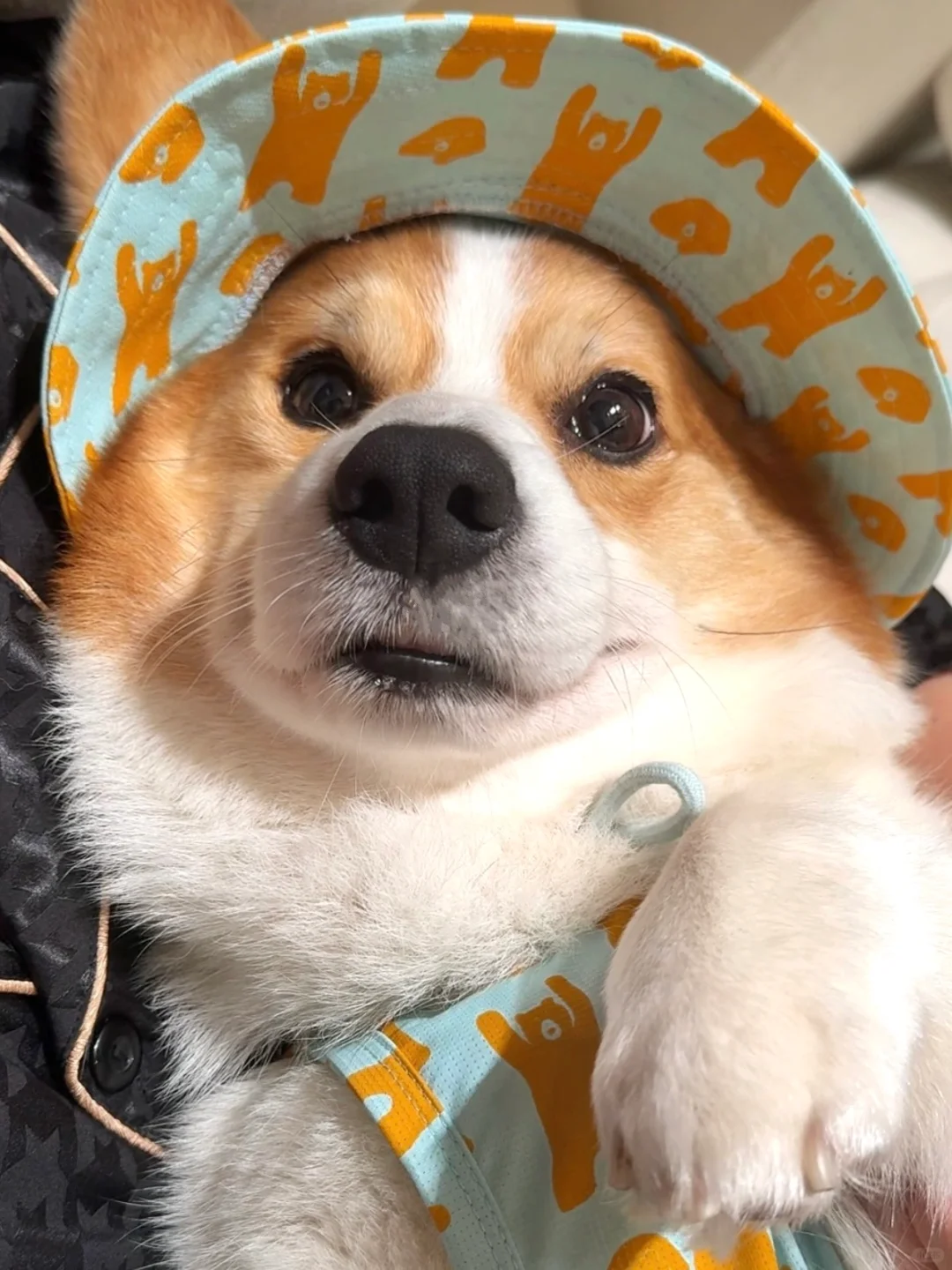 有没有姨姨想亲亲我呀