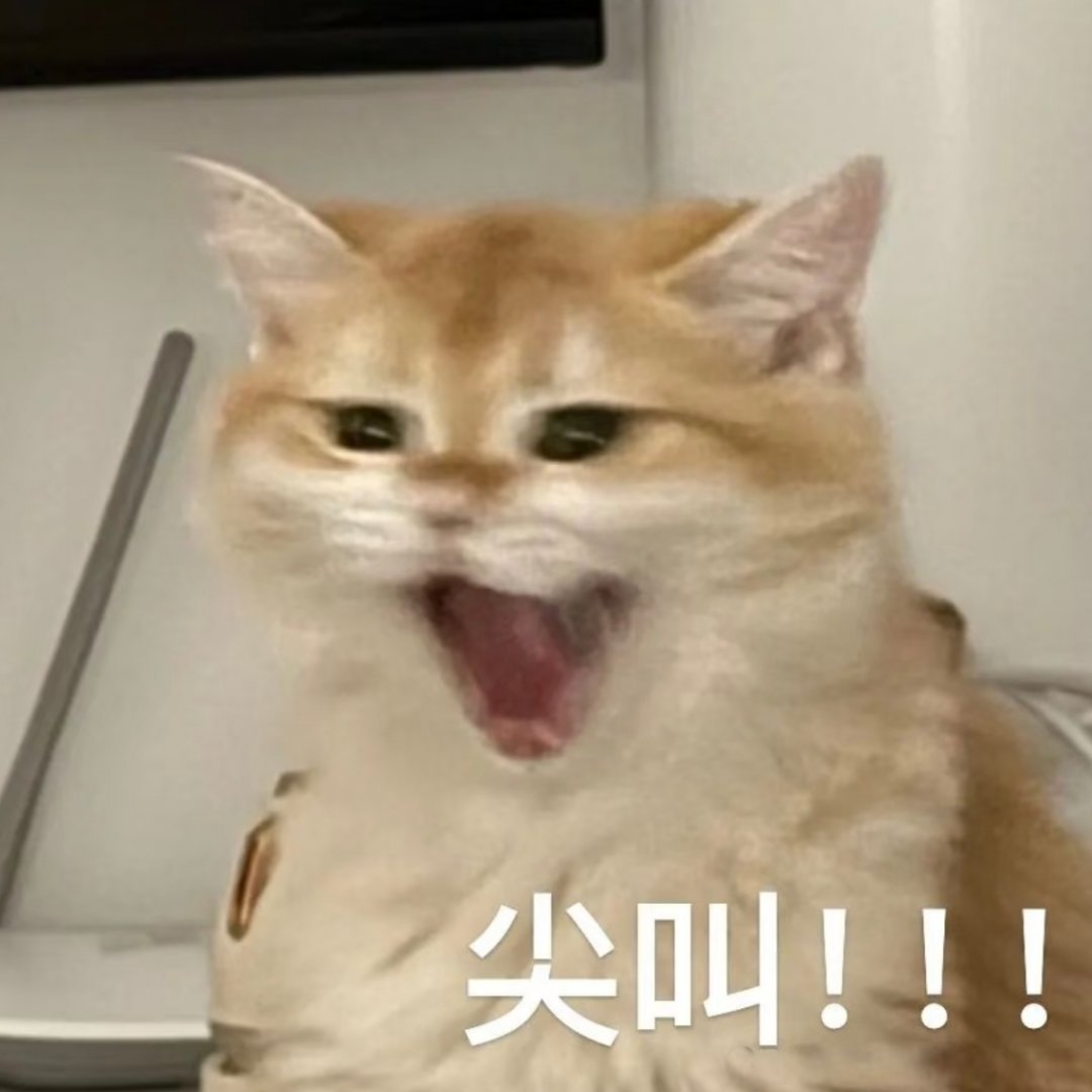 早上好 