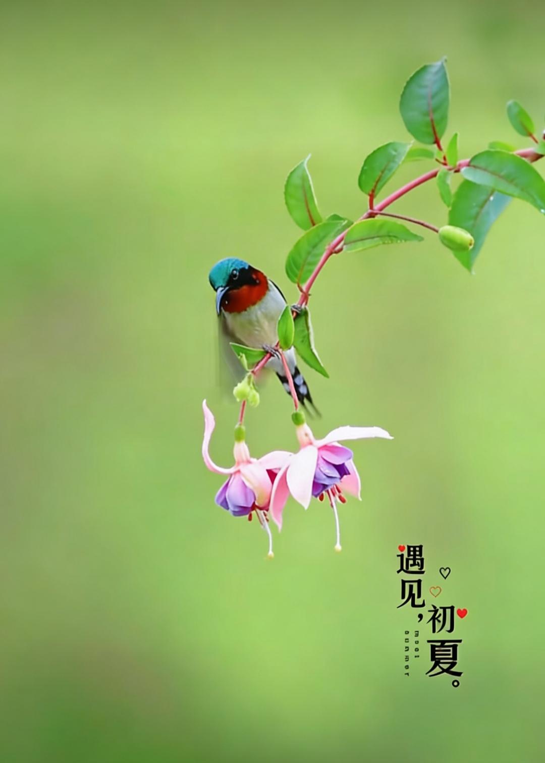分享一下你随手拍下的照片