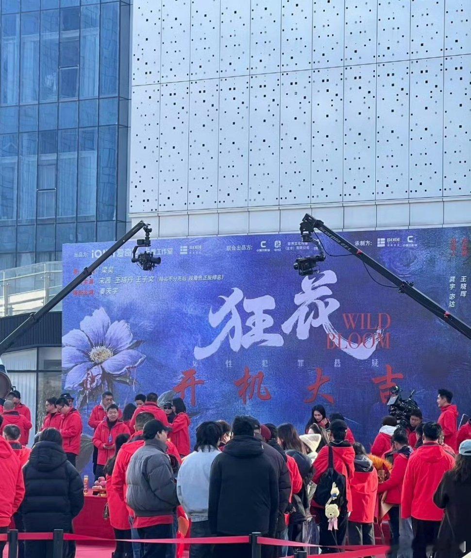 电视剧《狂花》正式开机领衔主演：宋茜、王珞丹、王子文（按照角色正反排序） 