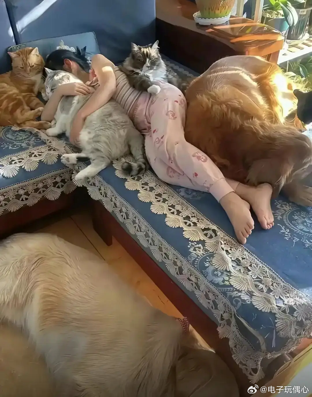 老天哪，这屋里不知道有多臭 