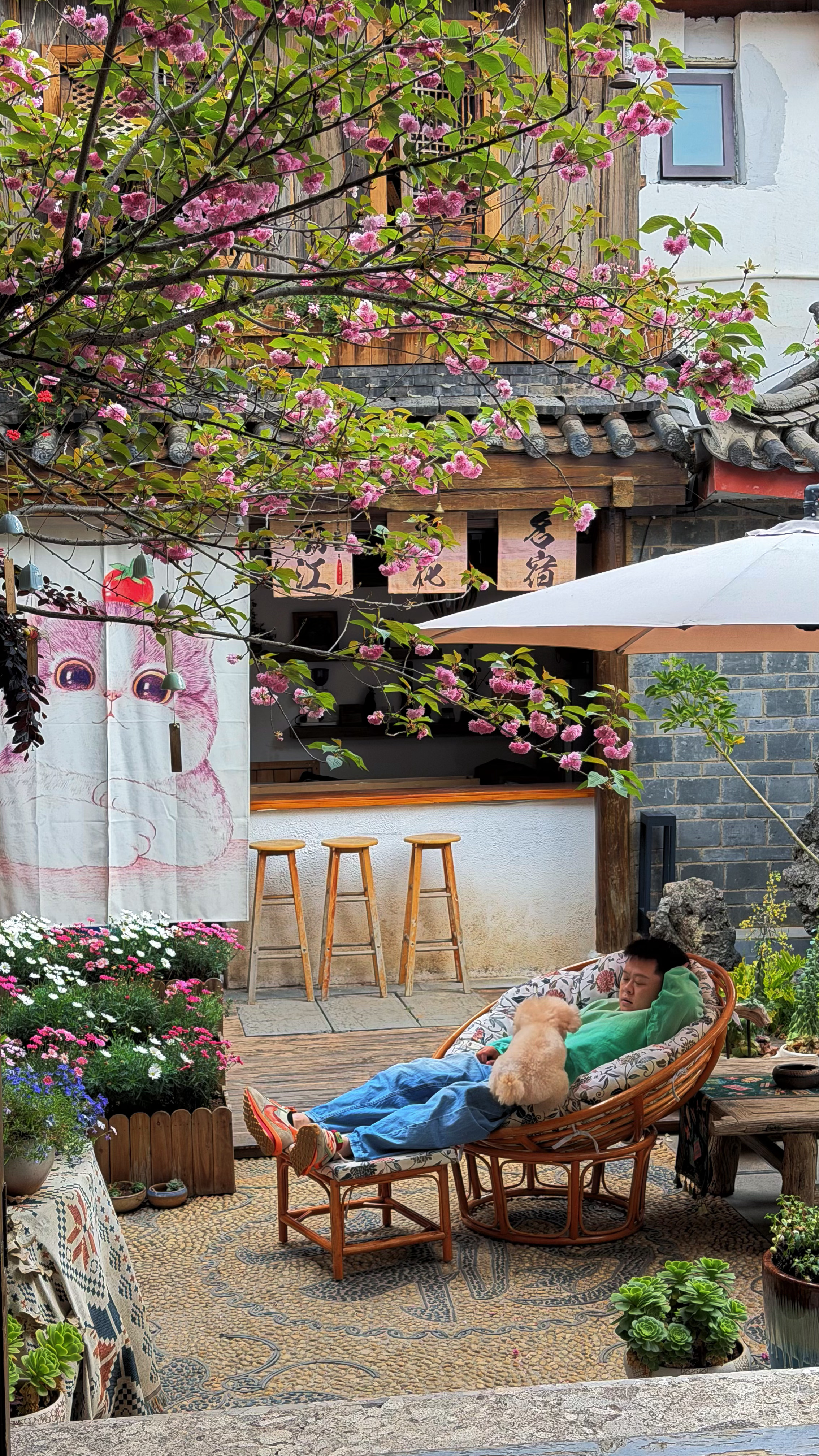 当今浮躁的丽江，正需要这样的一家客栈让快节奏慢下来！丽江客栈豆花民宿 丽江·豆花