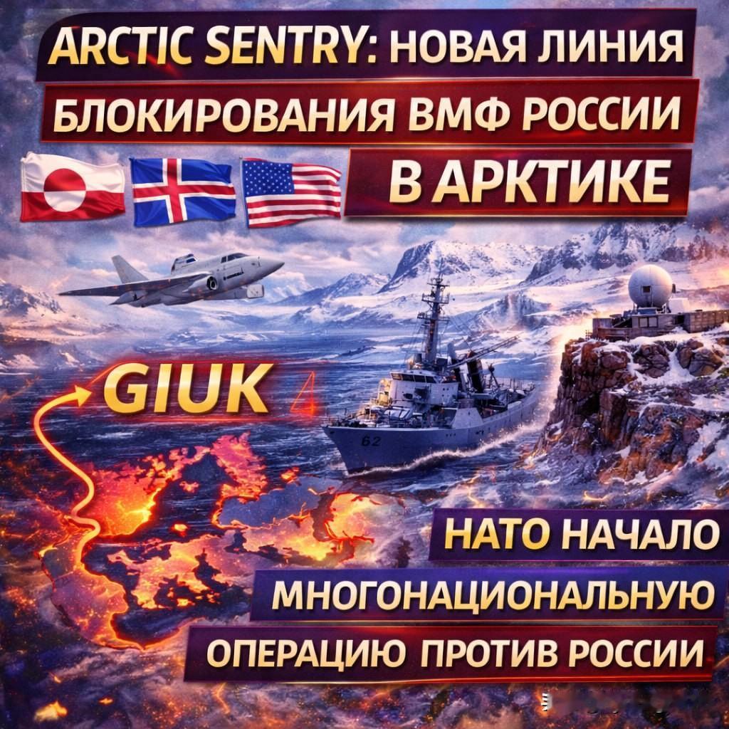 2月4日，北约军事领导人讨论了建立新的“北极哨兵”行动。

然而，仔细分析就会发