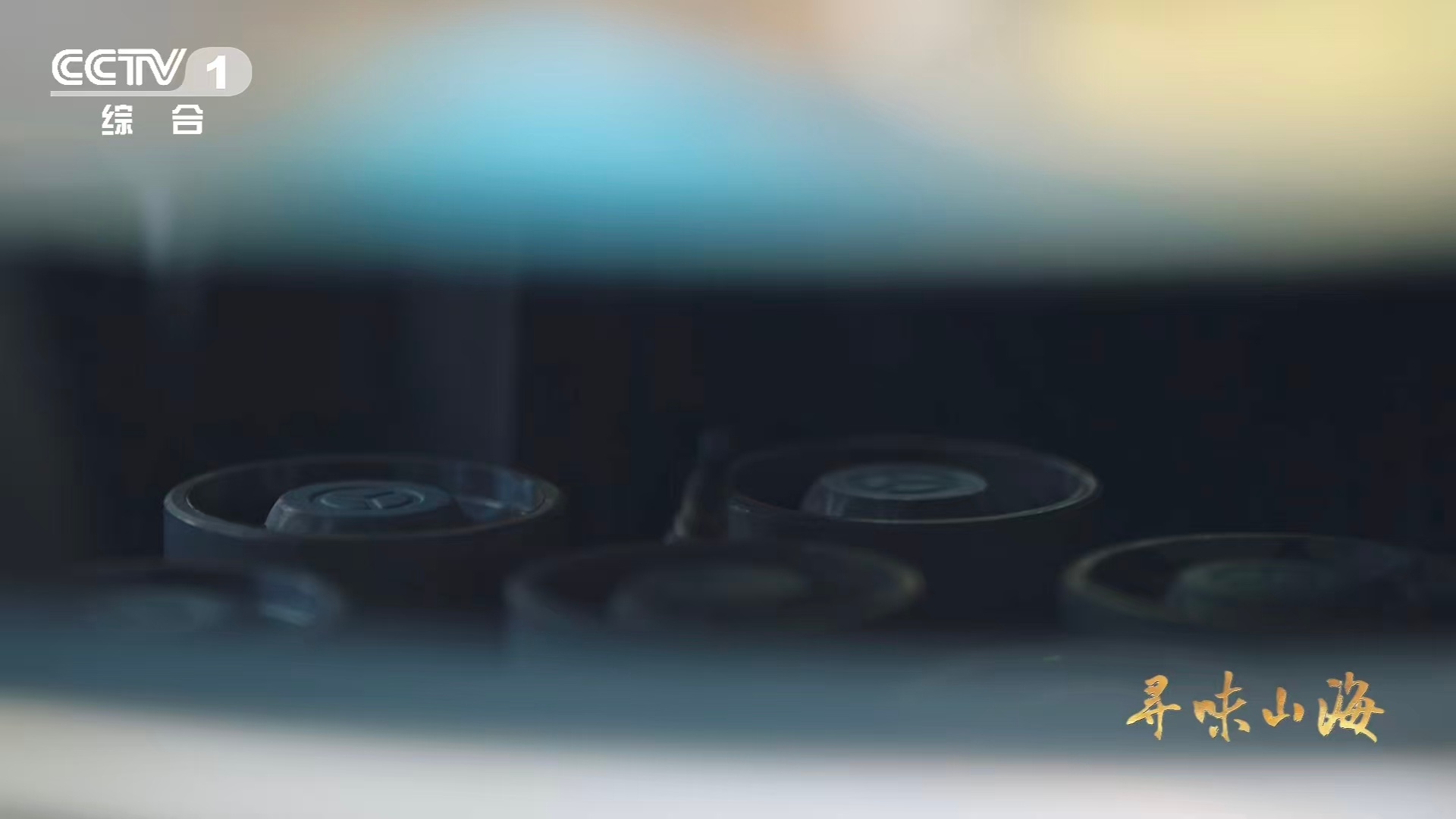 仔姜烧鹅随机馋哭一位游客一口就香迷糊的天花板下饭菜 鹅肉爆干再炖，吸饱汤汁精华。