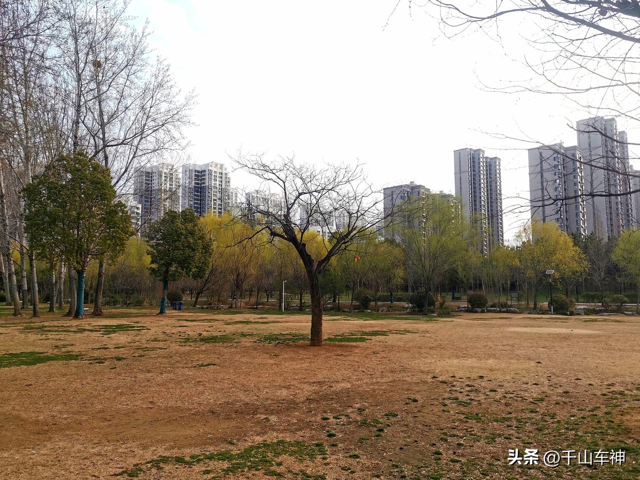 春姑娘来了，薛城森林公园里百草吐翠，挂满鲜花的树枝随处可见，到处生机盎然。漫步公