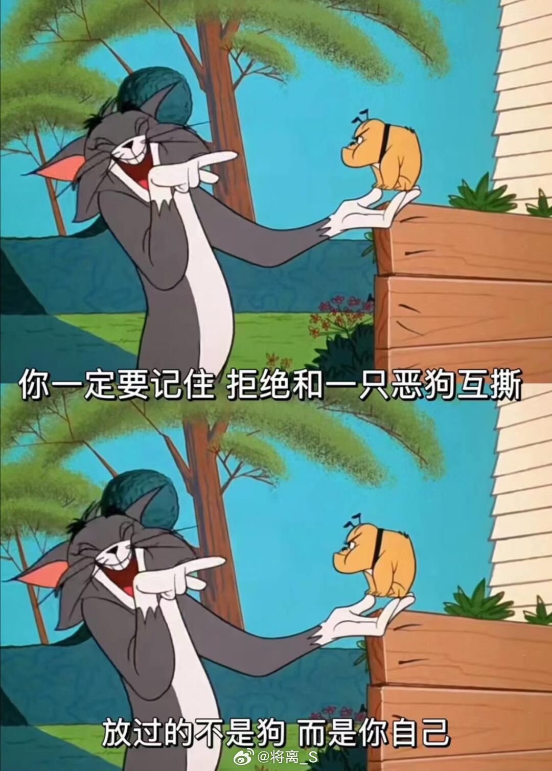 不与小人争是非不与愚人论长短 