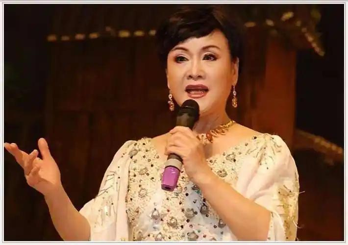 我给明星写封信 我给明星写封信
李谷一老师，我一直想给您写这封信。您的歌声陪伴了