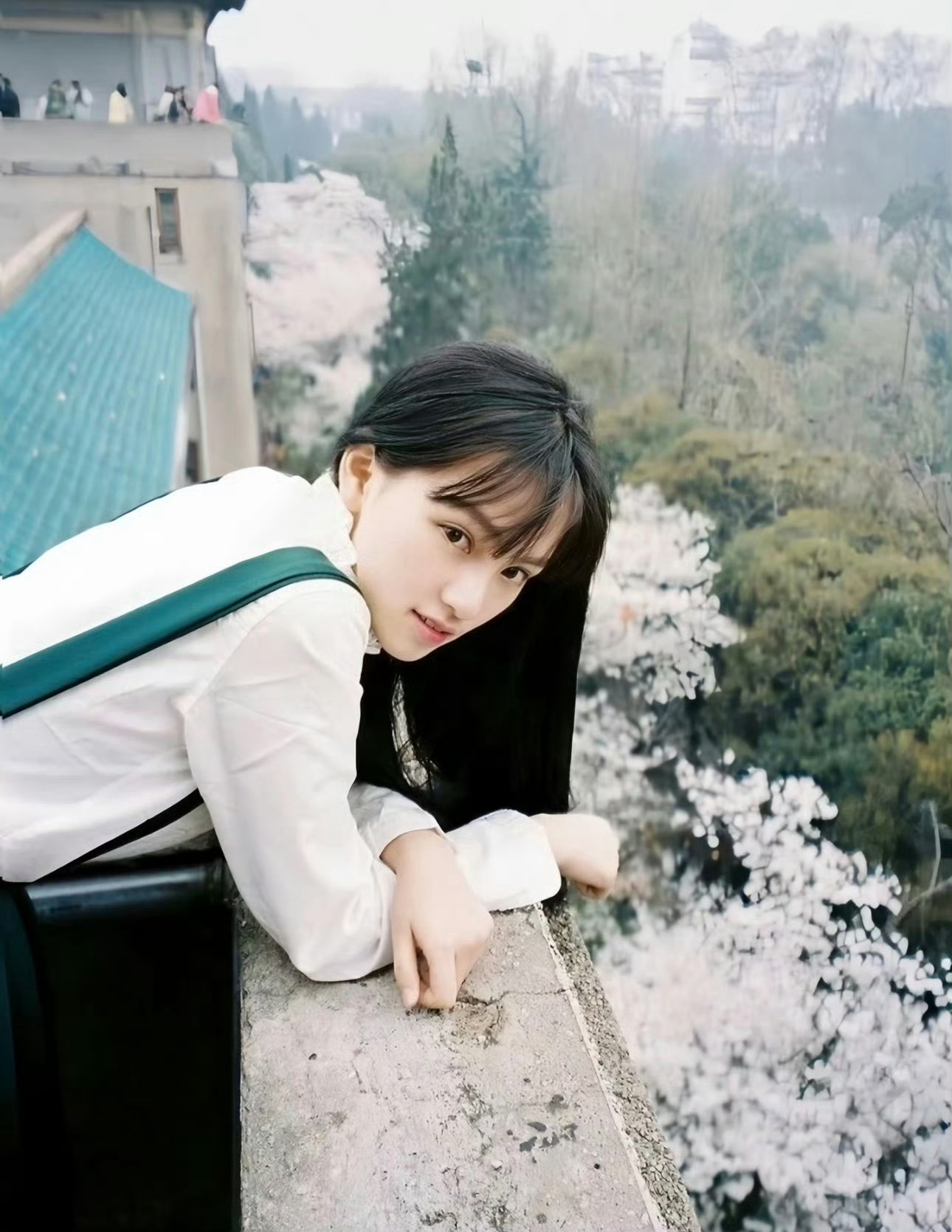 黄灿灿梦回武大校花 白裙长发，站在樱花树下的黄灿灿，是多少人心中的校园白月光。复