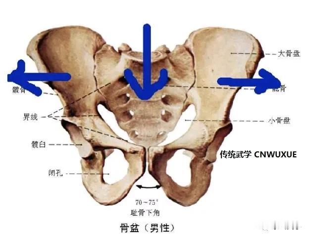 跟您说个开胯的巧法子，是我在图书馆翻老拳谱瞅见的，老辈人藏着的那种，听着简单，实