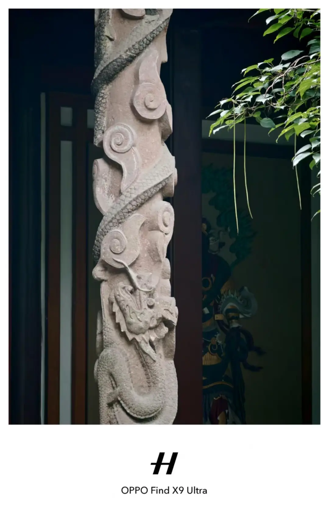 OPPO拍照｜用手机拍出园林的氛围感