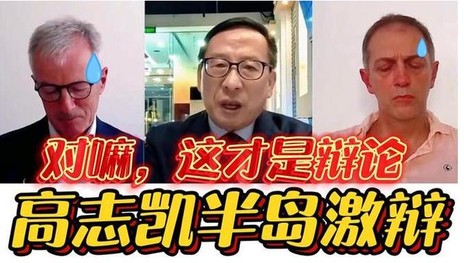 老外排队请他吵架，图啥?高志凯一张嘴，半岛电视台预告片两天就捞了1200万播放，