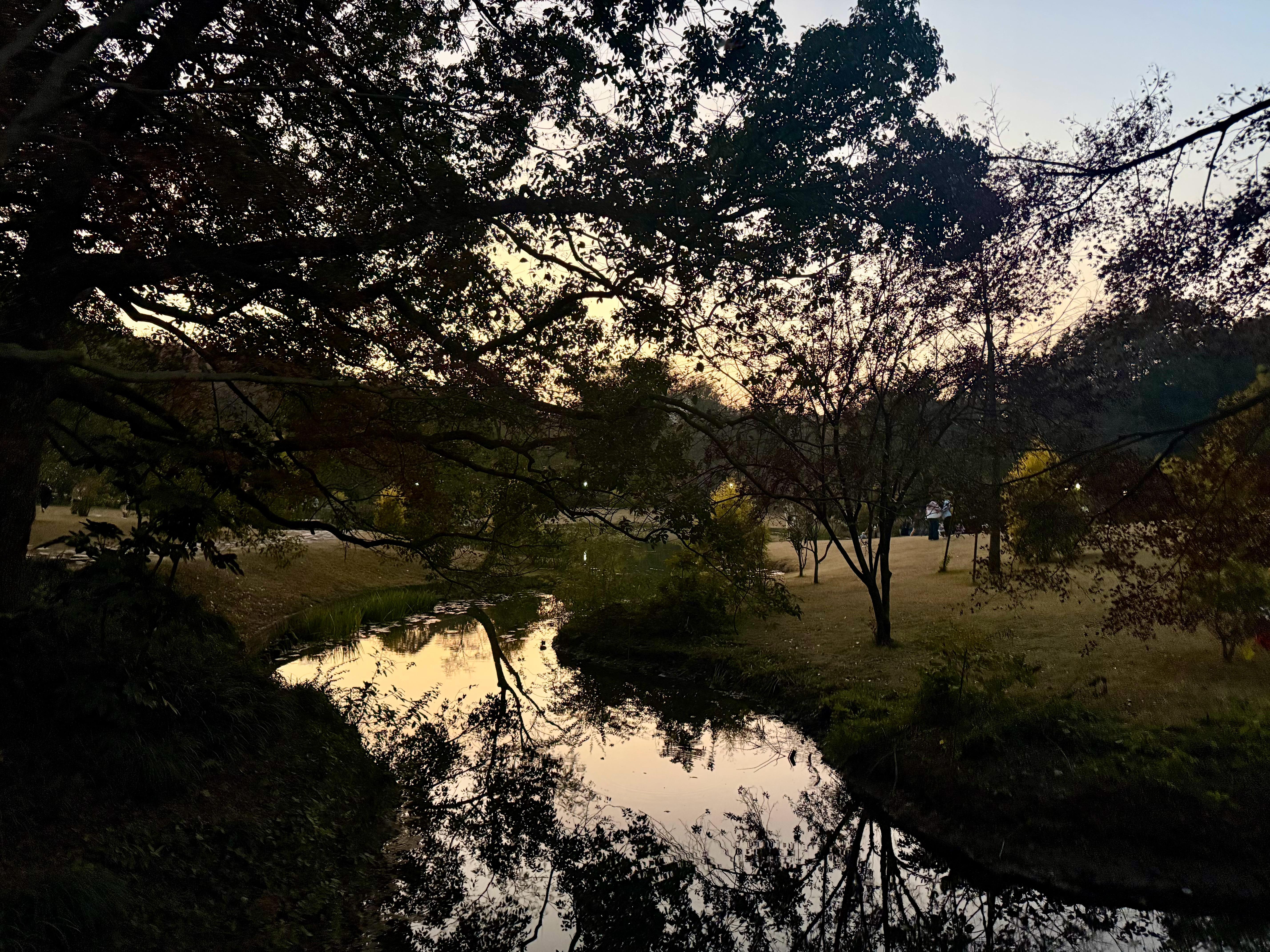 诺大的世界 一个特别充实的周末，甚至周日都在值班。但是心里总觉得空落落的。恰巧u