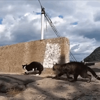 说多少遍了，不要在河边玩，万一掉河里去了？