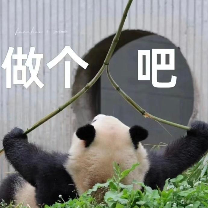 我去看了数据 第二节目前剩2分22秒魔术已经有16次罚球了  是单节16次呃  