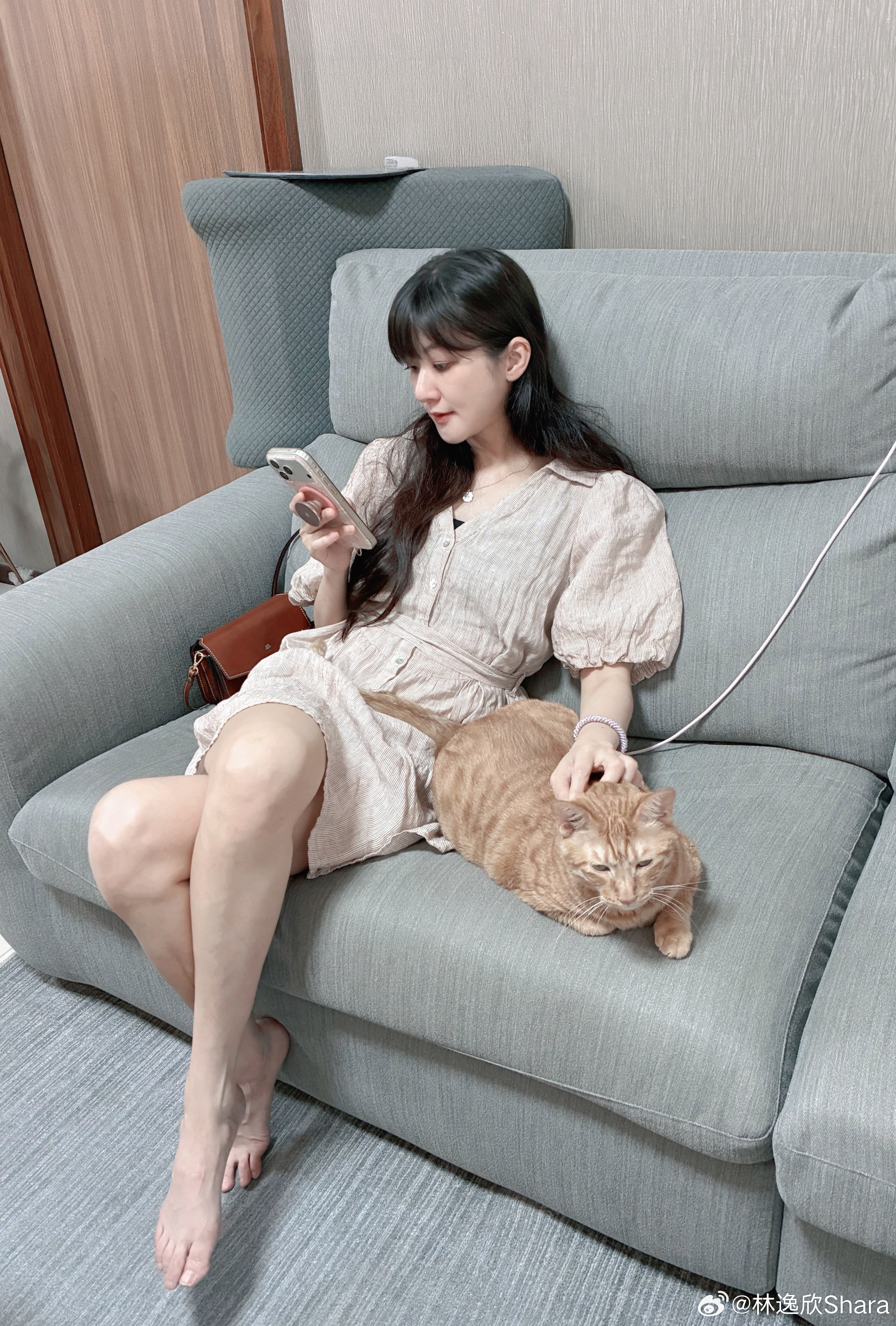 林逸欣撸猫秀美腿🐱 
