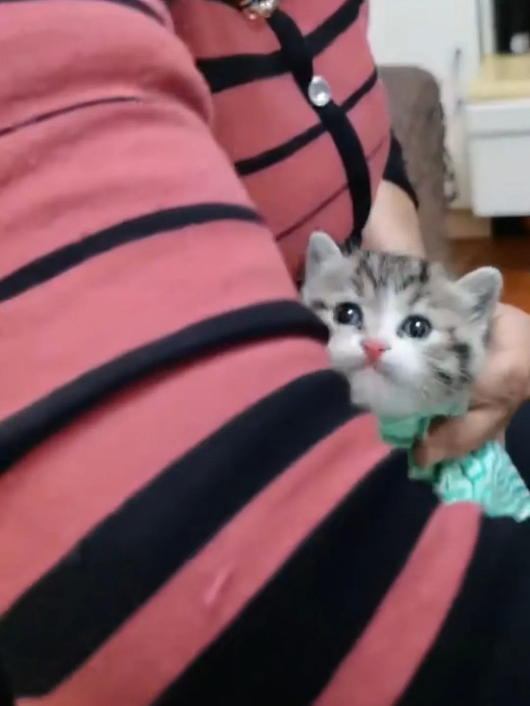 有一种爱叫奶奶怕你吃不饱……网友：毛孩子都吃懵了，好可爱！