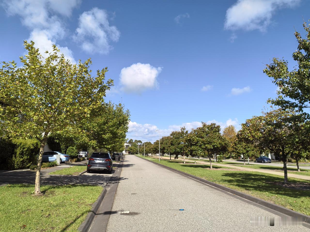 一晃在墨尔本已待了8个月。原本计划8月底回国，可因有事，只能提前到5月初回国。虽