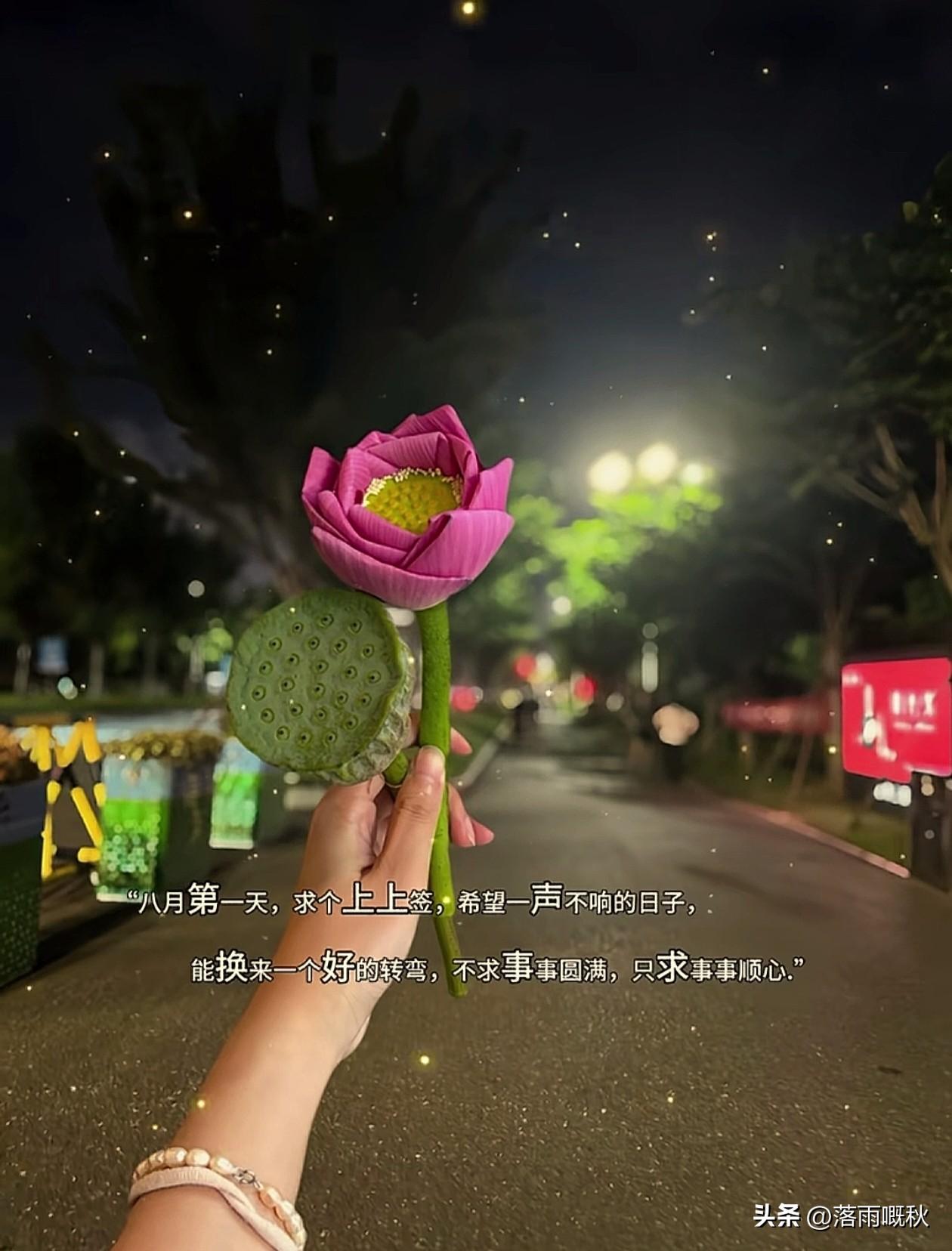 ᦦ້ᮨ꯭໌   ˗ˋˏ ♡ ˎˊ˗ ·𝒘𝒐𝒓𝒌𝒊𝒏𝒈  𓀨
﹊﹊
