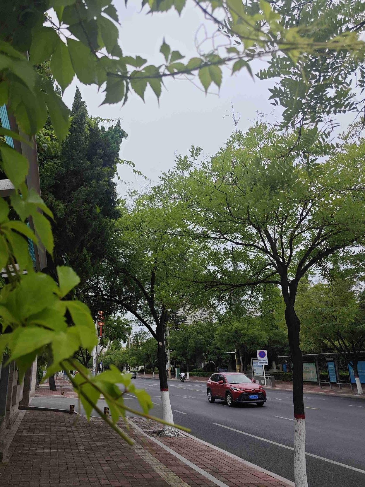今天青岛气温20～23°C，南风4级；“Jm”这边的气温19～27°C，南风5级