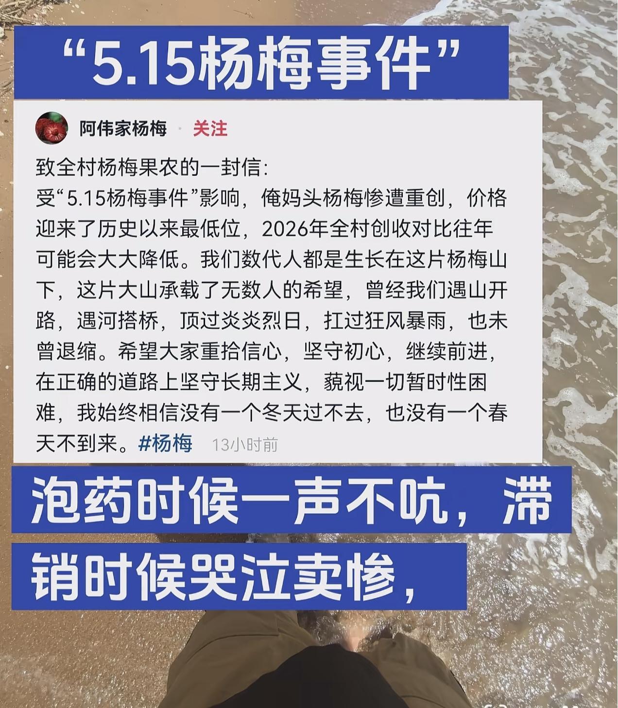 漳州杨梅被曝出来后，很多所谓的当地人出来说果农无辜，他们被经销商坑惨了。

他们