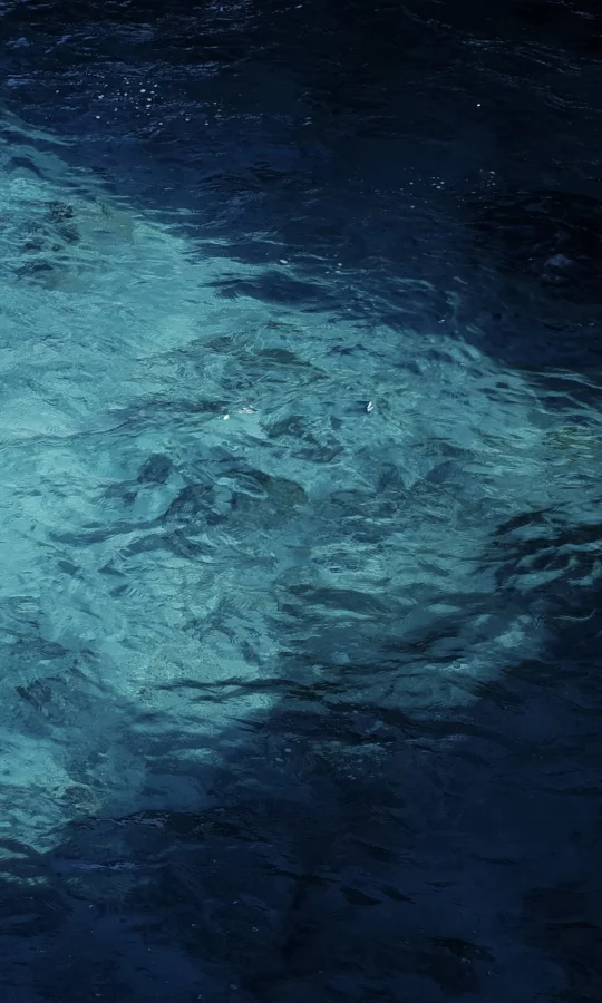 满屏照片好好看！