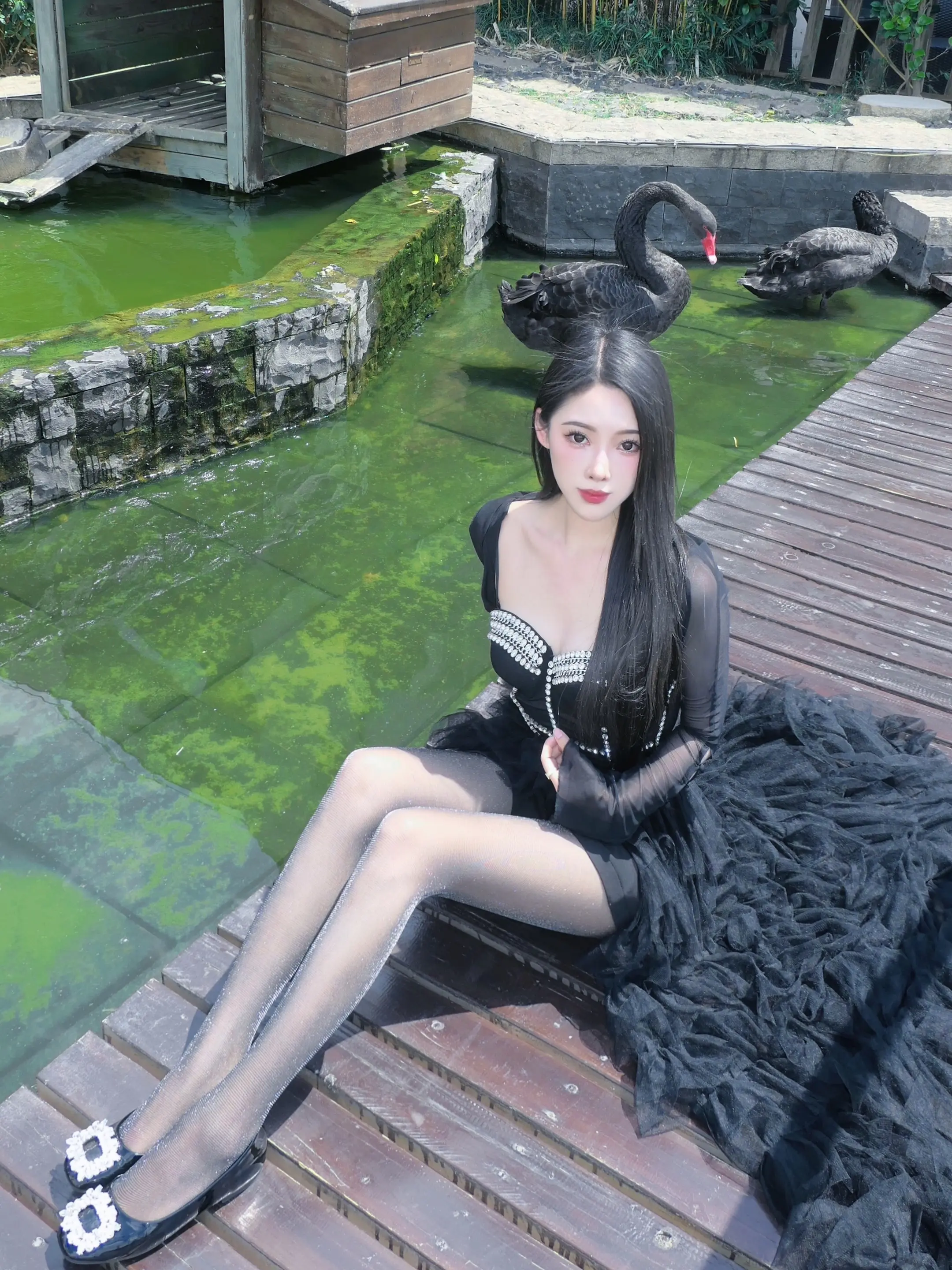热爱每一个晴天☀️⚫️🦢✨