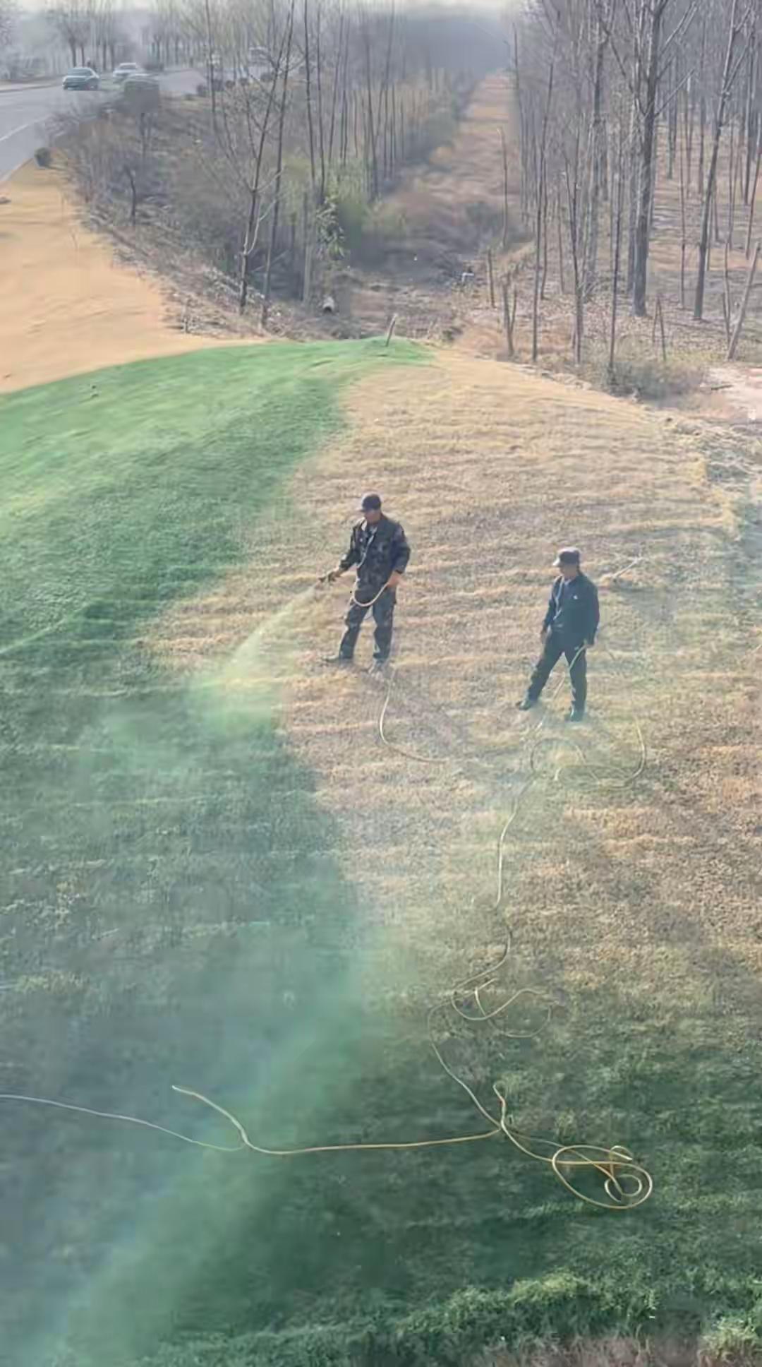 近日，陕西一网友拍摄了一段给枯黄草地“绿化”的视频引发大家热议。视频中，两人拿着