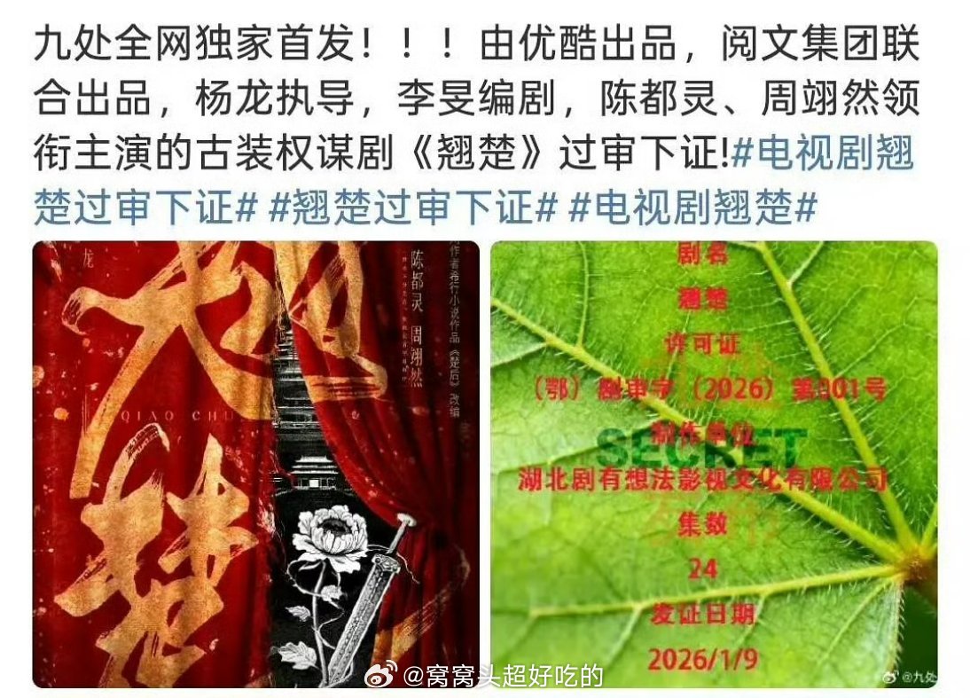翘楚要来了还蛮期待的嘟嘟和翊然之前路透都挺出圈 
