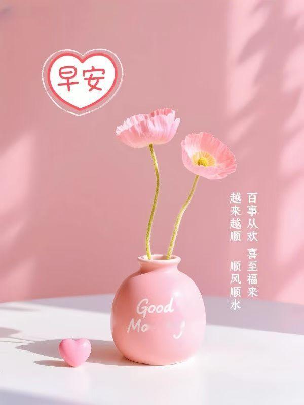 简单生活，努力前行相信自己的力量，未来可期 