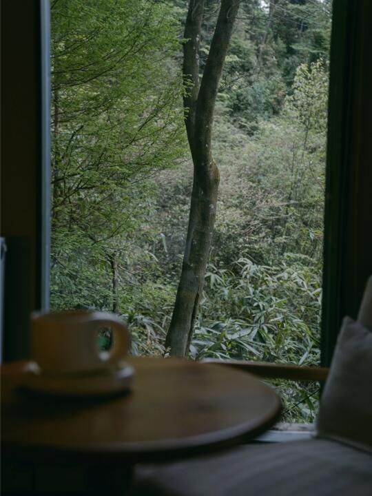 五一出游｜青城山亲子遛娃的最佳民宿