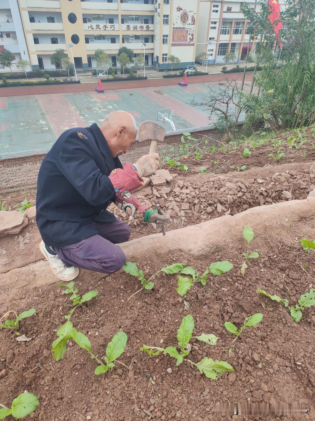 种粮，种棉是个职业，种出来的产品要通过加工，消费，而消费者要付出同等代价获得消费