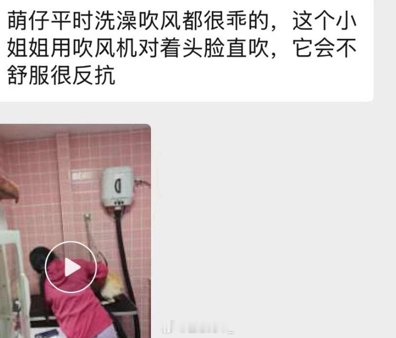 对不起狗狗 我以后用嘴吹