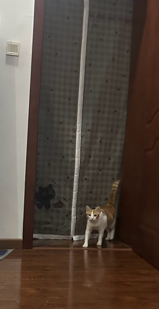 一脸严肃 