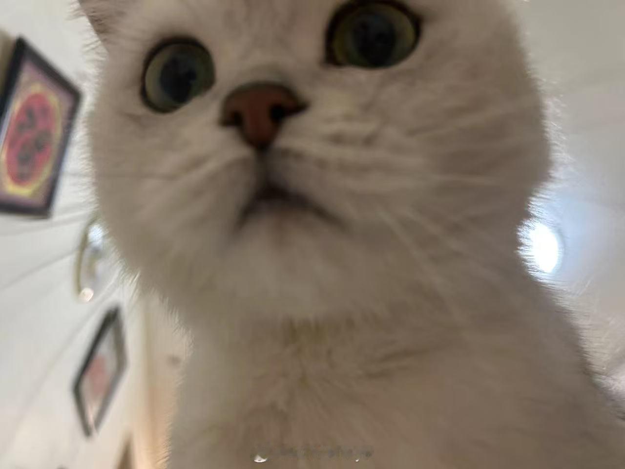 呜呜呜，为什么要对一个爱吃饭的小女孩这样！！！肠胃不舒服，流泪猫猫头了我[泪奔]