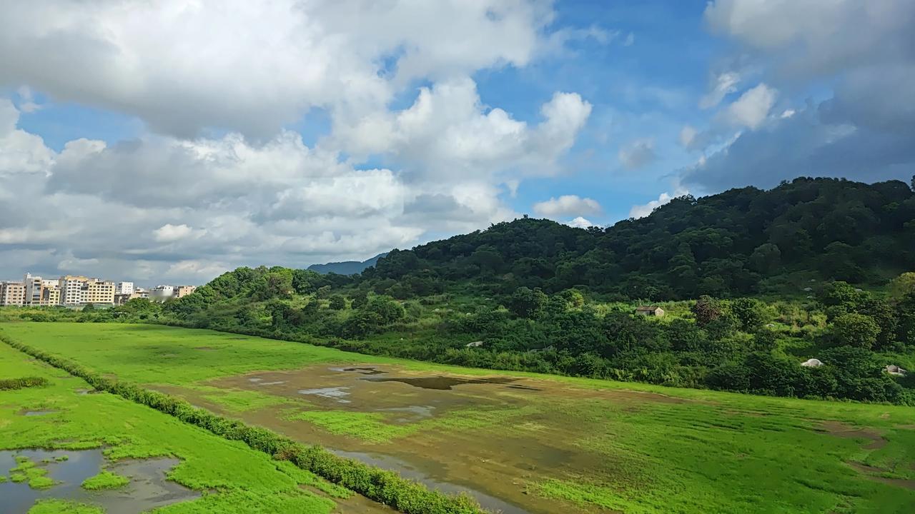 今日开启暑假旅程，从深圳到上海，乘坐D3126，穿越广东，福建，浙江，上海，总共