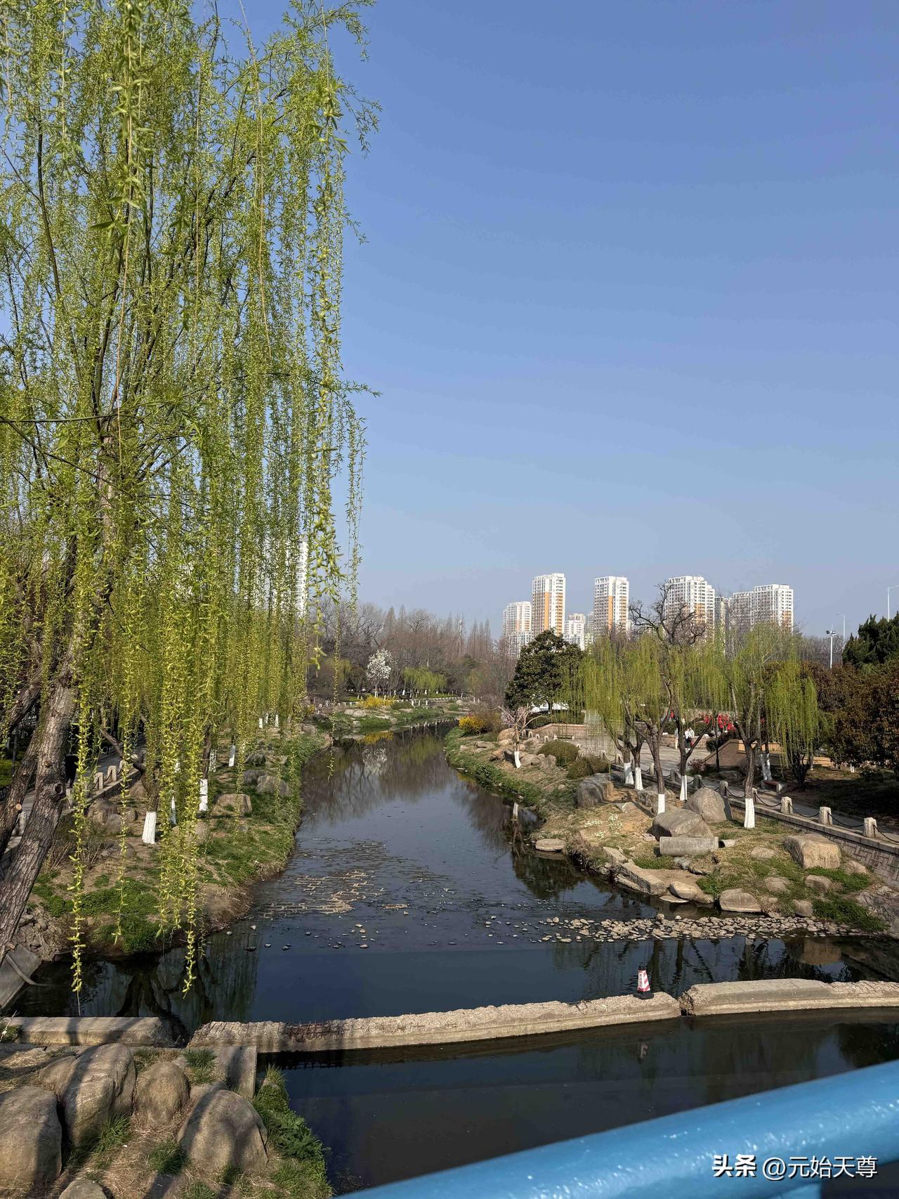 春天散步随拍我昨上午去了趟青岛海泊河公园游玩，这里健身的到处都有，跳广场舞的人整