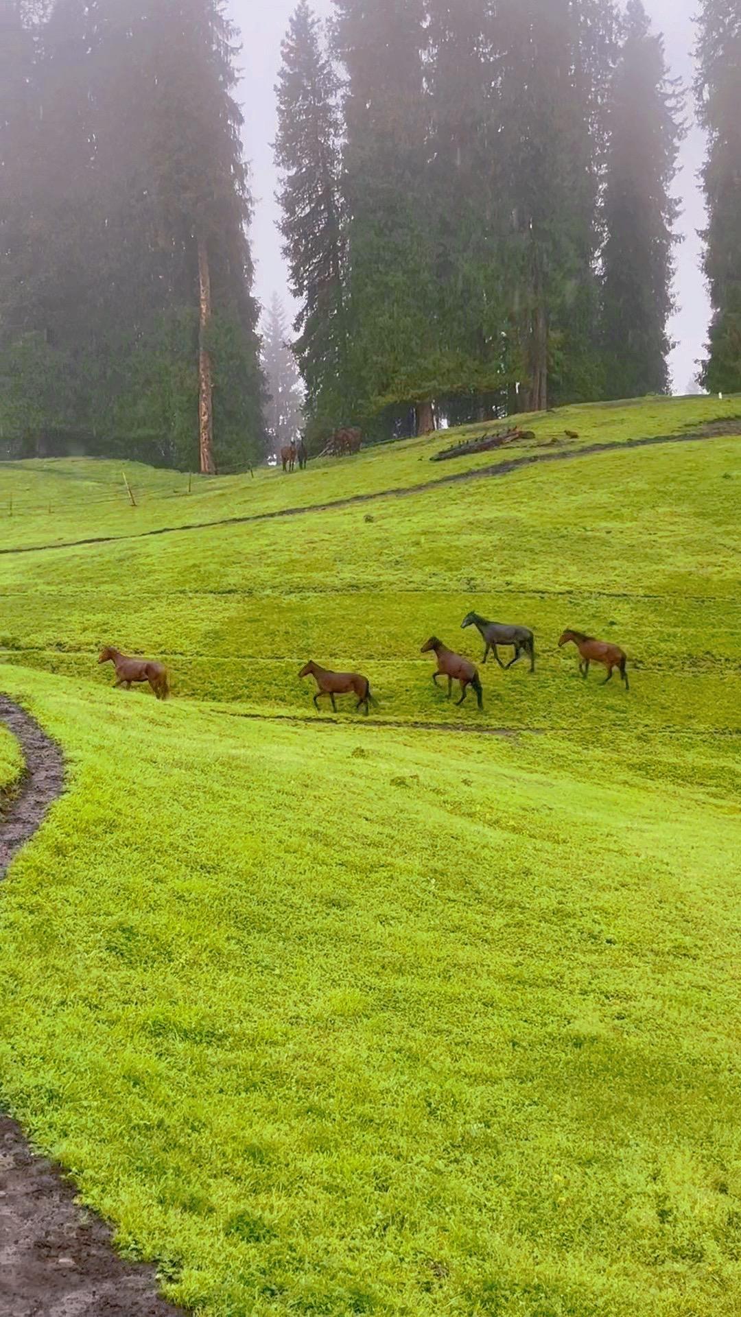 天底下只有一种方法 可以让别人心甘情愿听你的话 那就是给到他想要的利益...