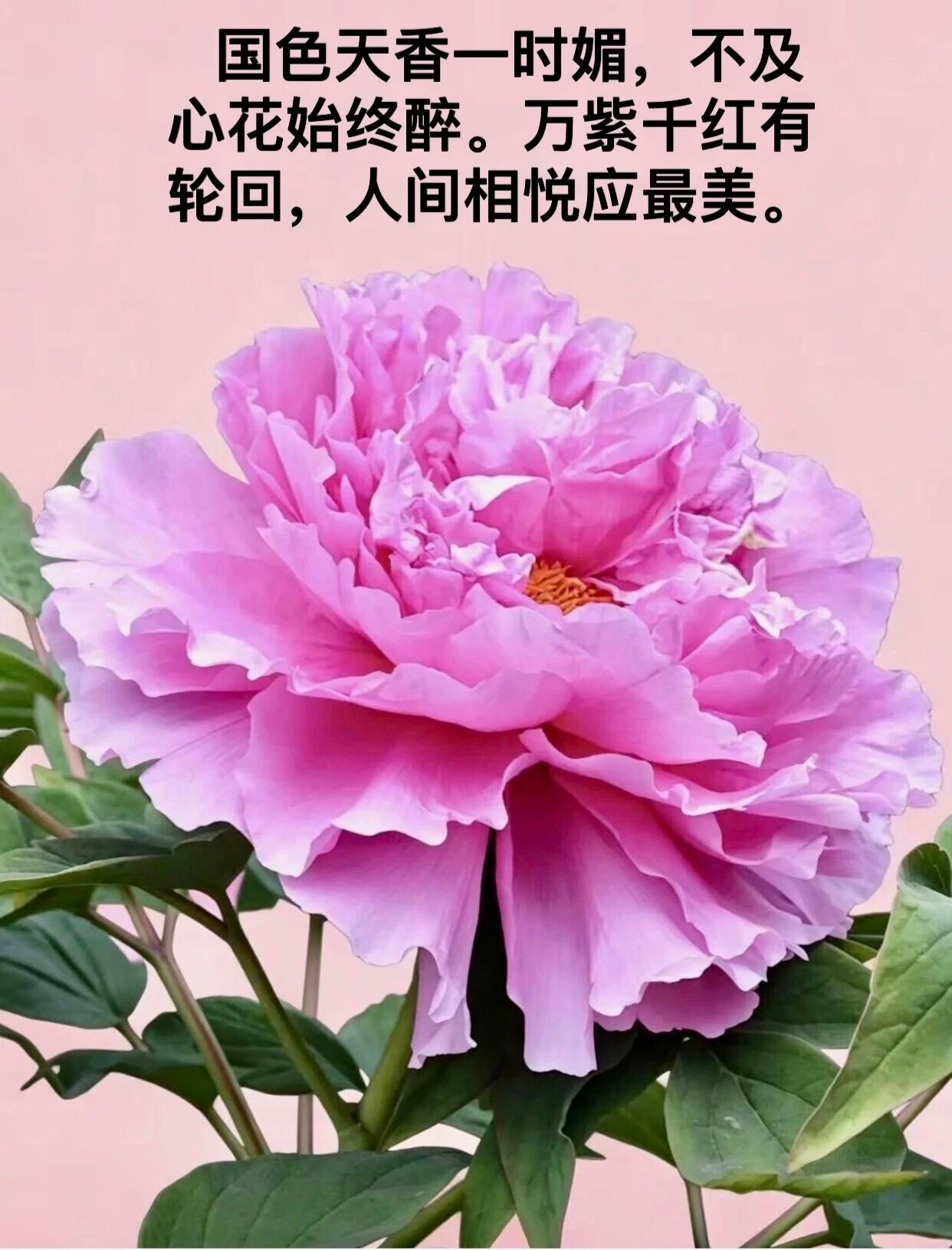 【想去追风逐浪？先听这则关于汛期的安全絮语🎉】         （转发自《凤凰
