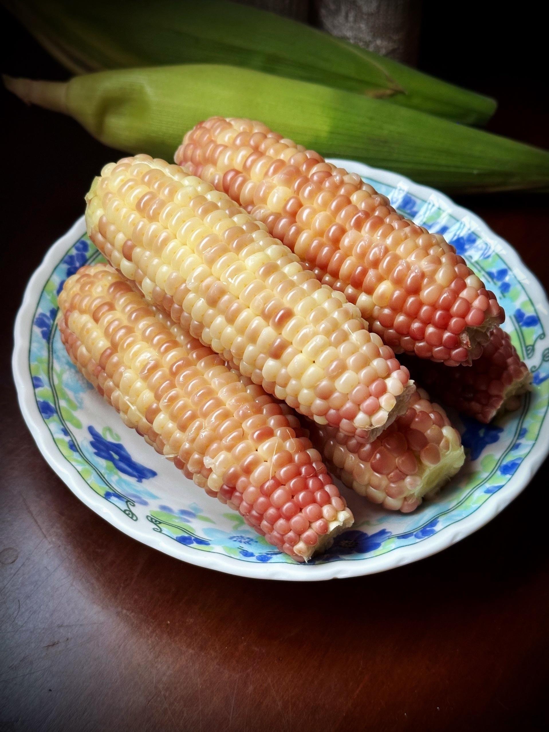 真好吃啊。又香又糯又有点拧悠悠的。吃了四穗🌽第一次在东郊马场会所吃到好吃的玉米