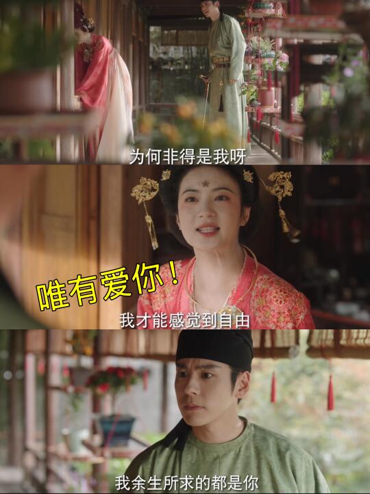 唯有爱你才感到自由，是刘畅执着牡丹的理由