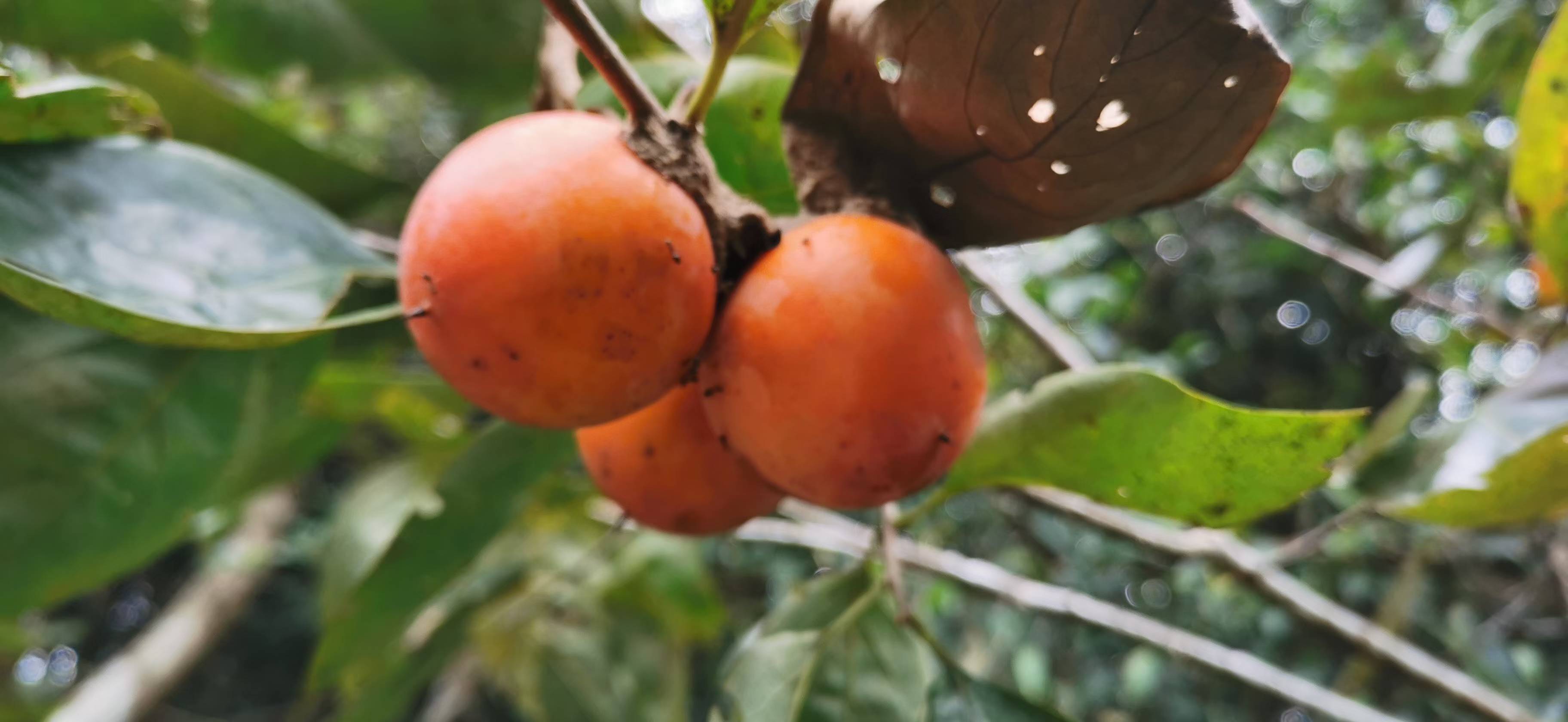 半醉半醒半浮生，亦真亦假亦过客。 