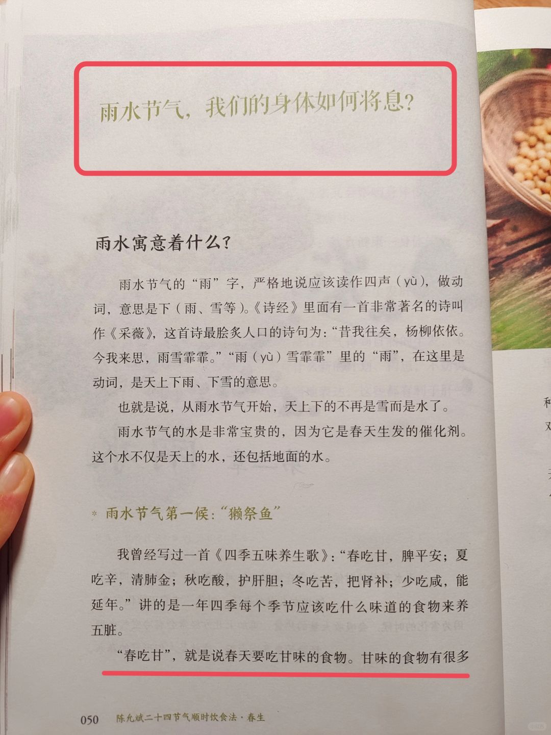 陈允斌老师——雨水节气养身体的智慧🔥