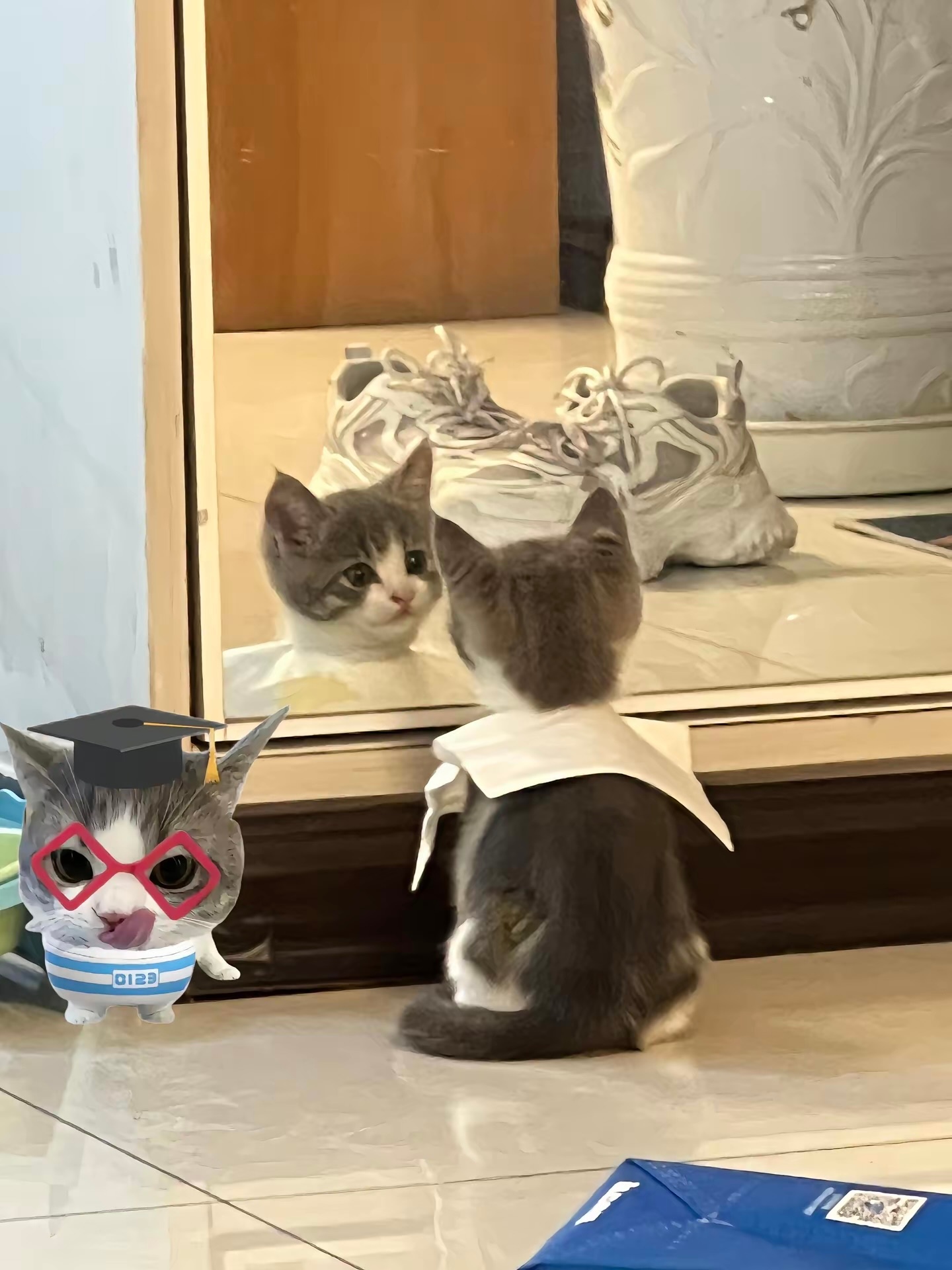 原来，我是一只小猫🥹 