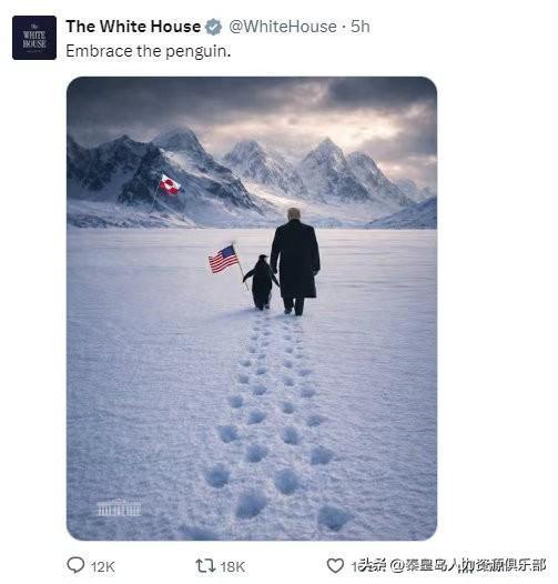 特朗普又出神图了！白宫官方发了一张P图，老特牵着一只企鹅，企鹅还举着美国国旗，俩