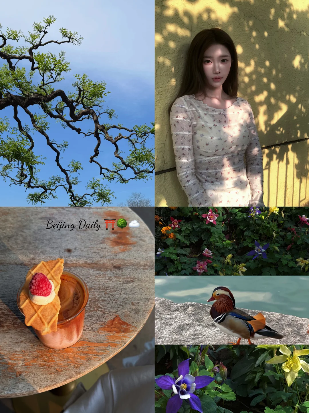 春游plog*🦆🩵北京能量场太足啦