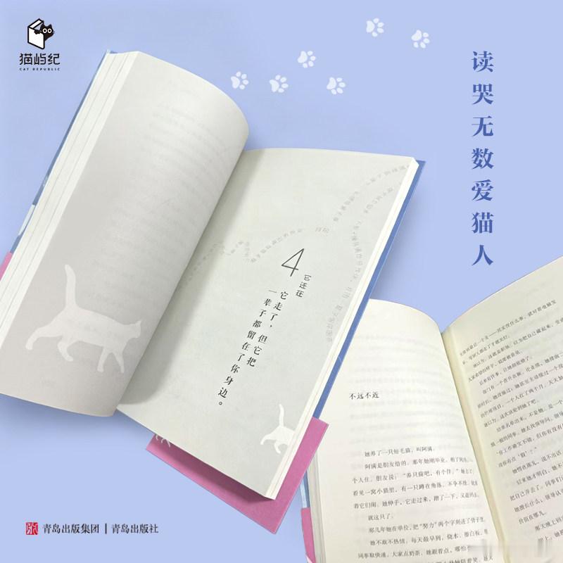 读书 是普通人的救赎我的私人宝藏书单书评 《雨天，还好有猫》这是一本散文集，也是