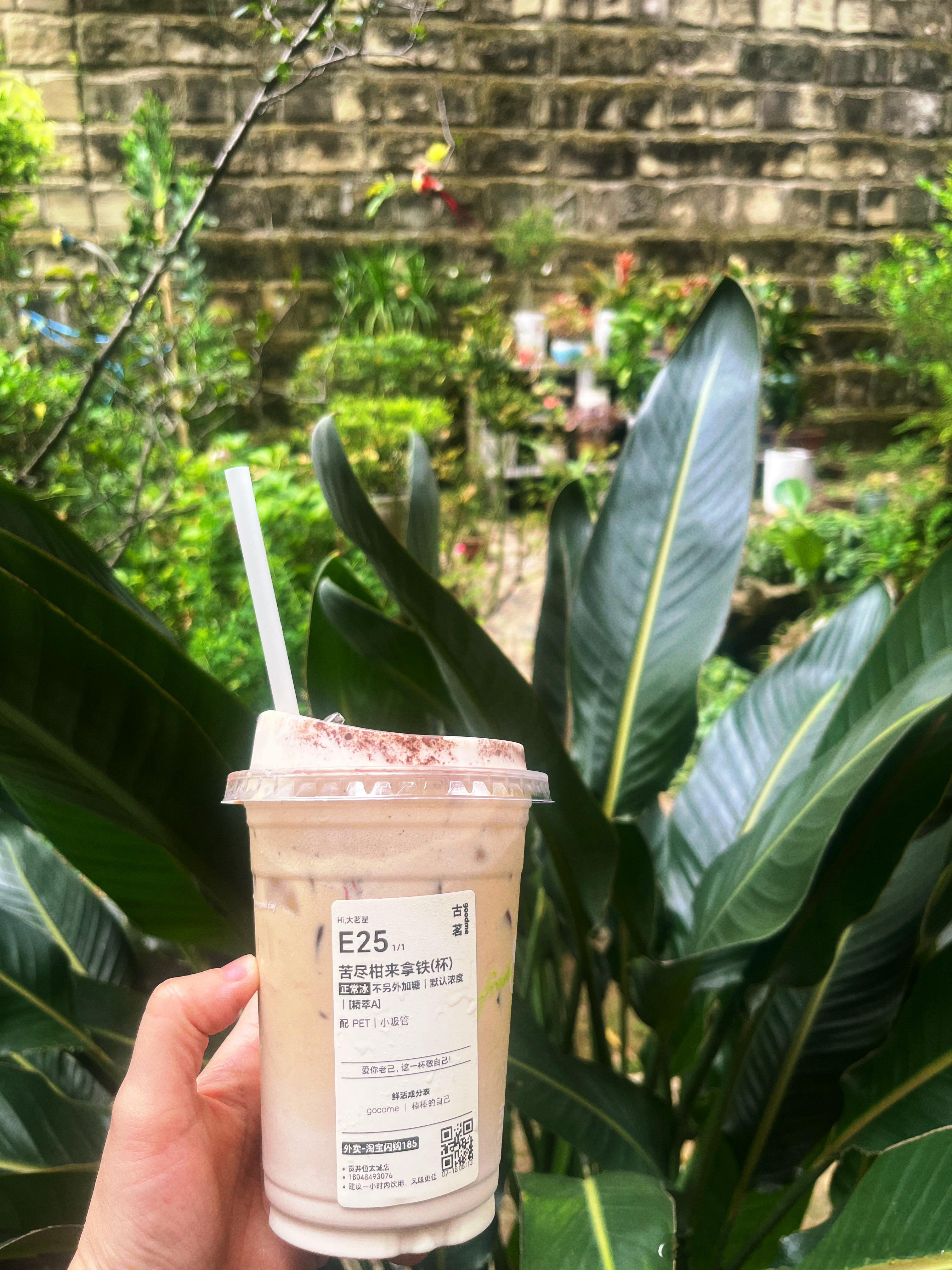 回家一周了，今天终于靠古茗打开了书稿。 
