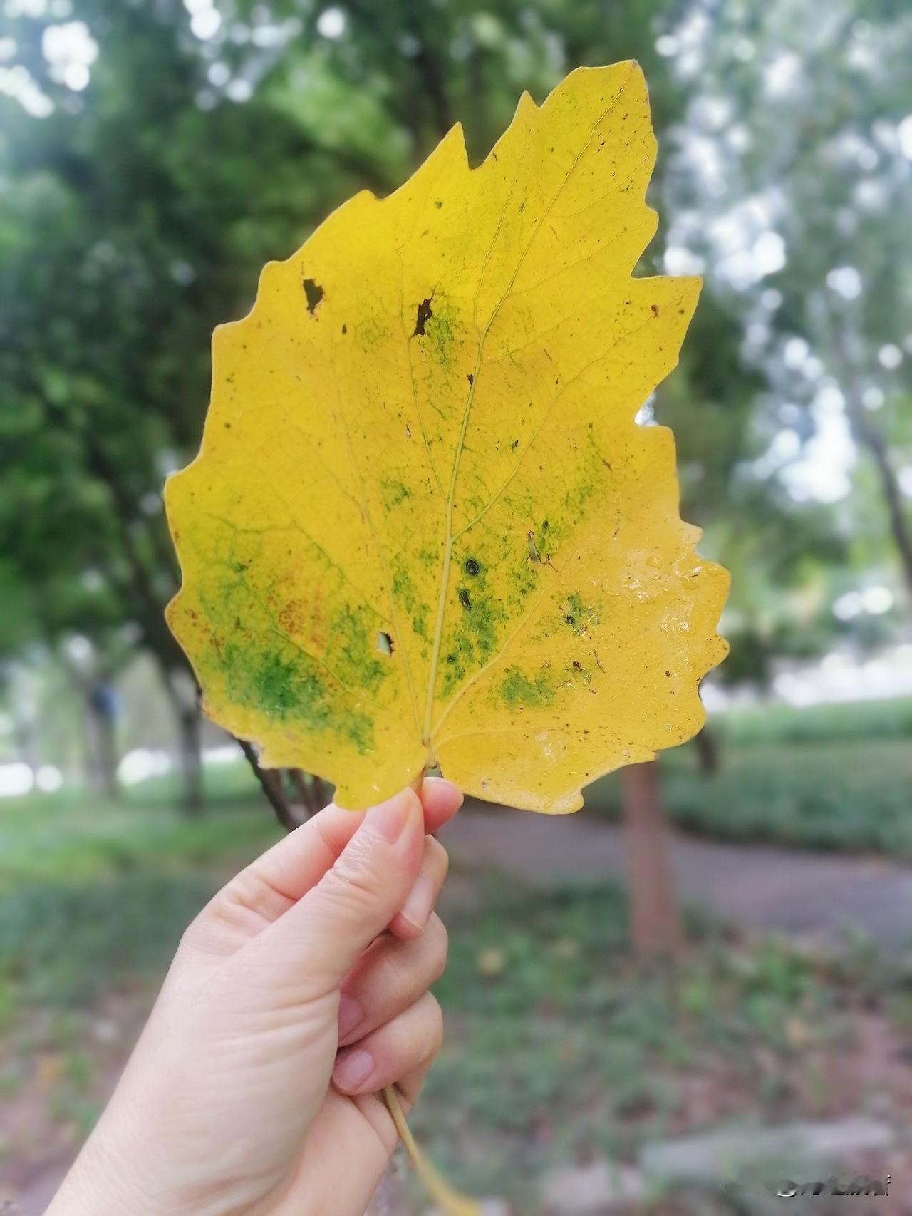 9月8日北京天气：早晨到白天阴有小雨或零星小雨转多云，偏北风二三级，最高气温22