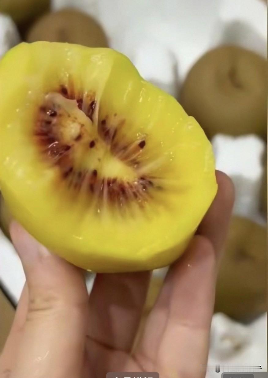 🥝猕猴桃大批上市，才发现原来品种这么多！都想买来品尝！

陕西“翠香”，绿心里